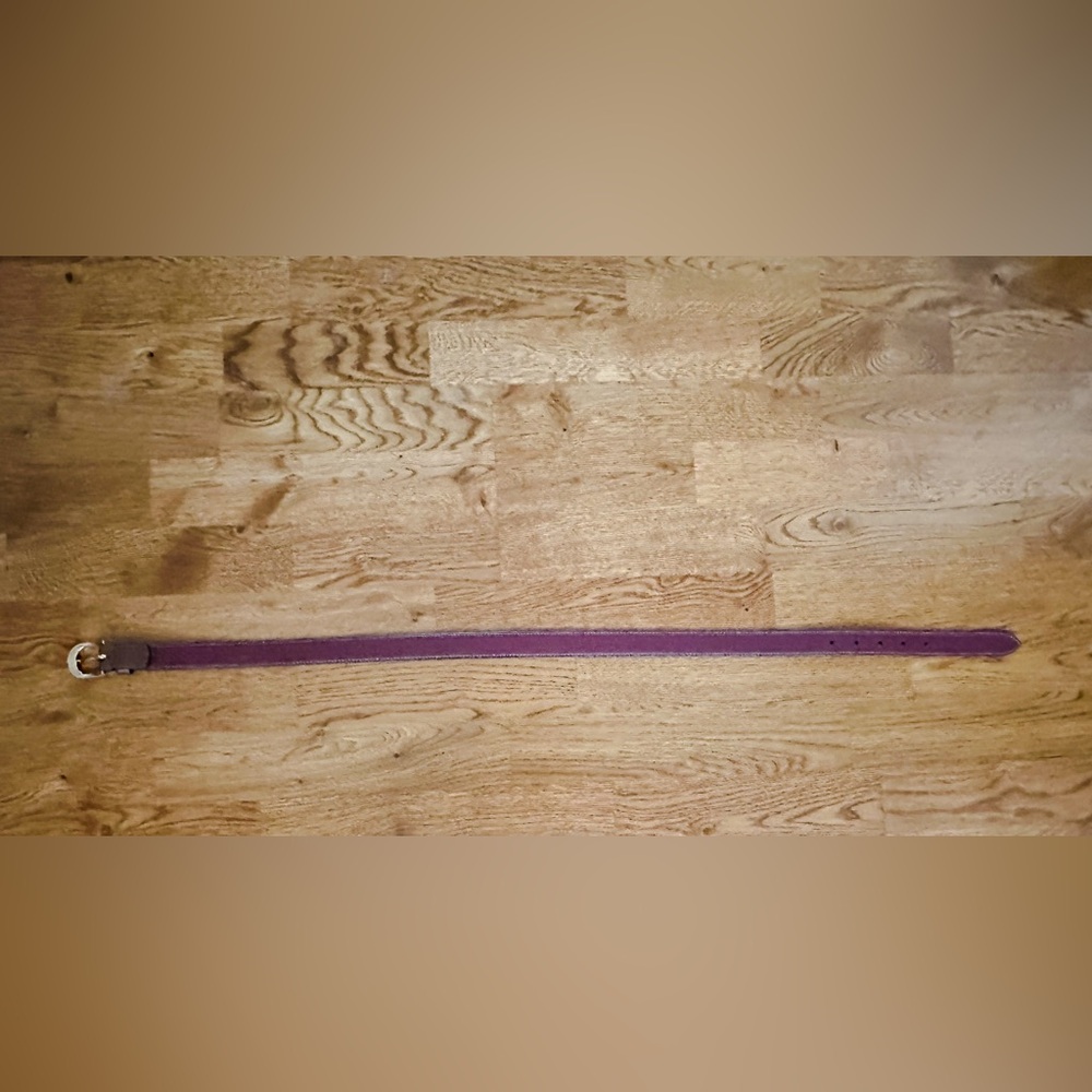 Coach Classic Leather Belt in Brown with Gold Hardware Size S 25mm W - Picture 5 of 8